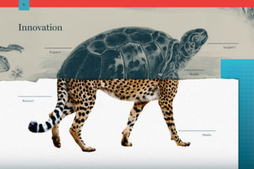 half turtle half cheetah blog graphic